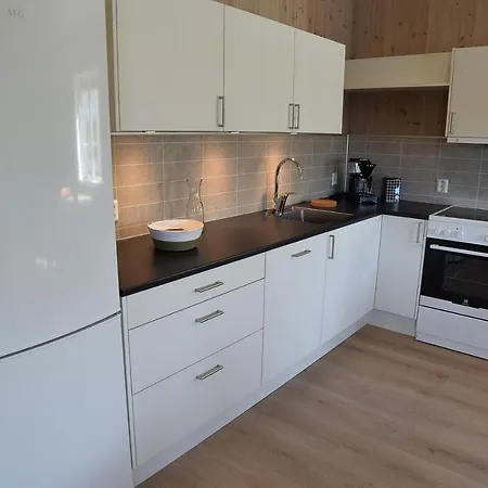 Arctic Lofoten Dağ evi