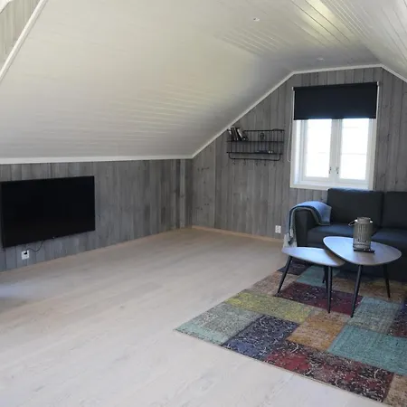 Arctic Lofoten Dağ evi