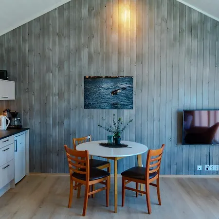 Arctic Lofoten Ramberg